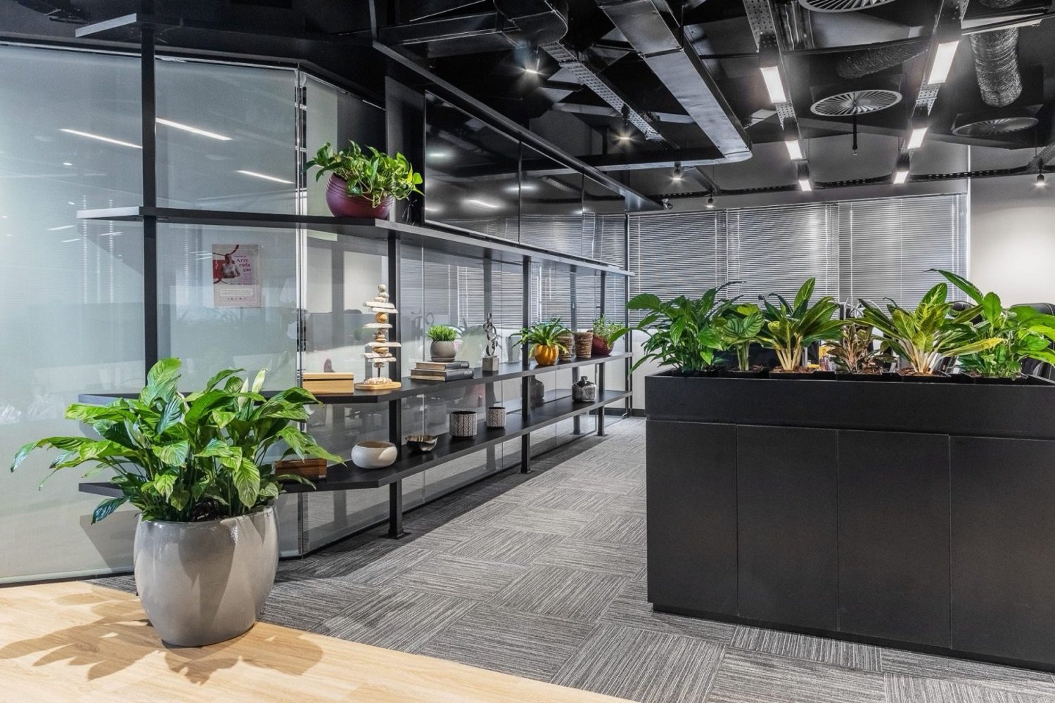 A9 corporate workplace